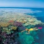 book lady elliott island snorkelling reef trip
