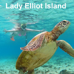 Book Lady Elliot Island departing 1770
